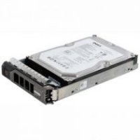 Dell NearLine SAS 6G 1TB 7.2k 3.5 HD   Fully Assembled Kit for R410/R510/R710/T410/T610/