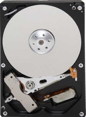    3,5" 3000Gb Toshiba (DT01ACA300) 64Mb 7200rpm SATA3