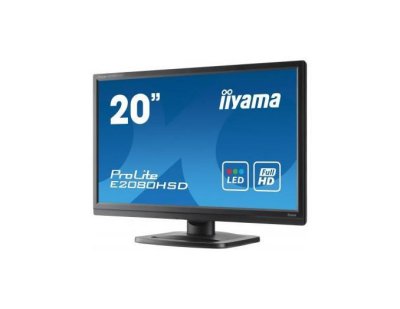  Philips Pro Lite 20 LCD monitor DVI