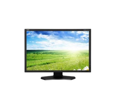  NEC MultiSync P242W