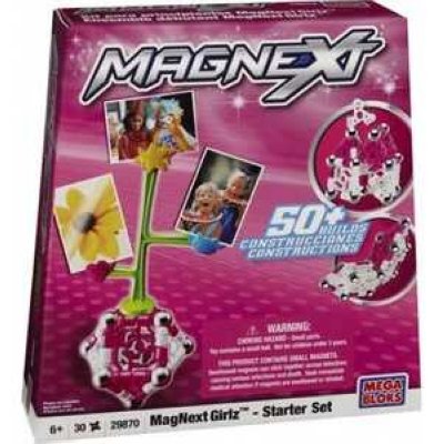  Mega Bloks  Magnext Girlz 29883 (29870, 29913)