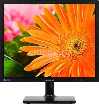  Samsung 19" S19C200BR Black TN LED 5ms 5:4 DVI 250cd (RUS)