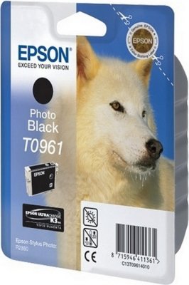 T096140   Epson (Stylus Photo R2880) 