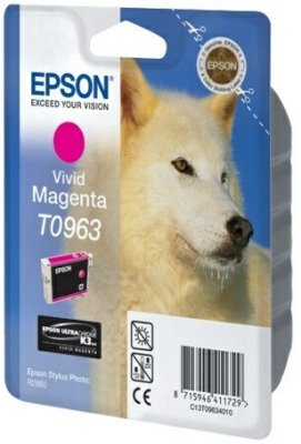 T096340   Epson (Stylus Photo R2880) -