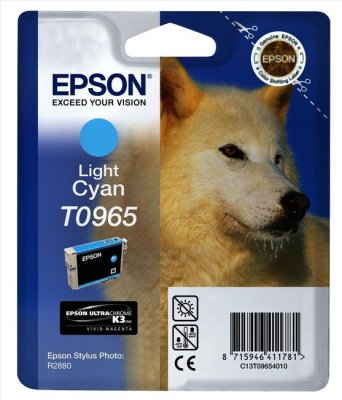 T096540   Epson (Stylus Photo R2880) -