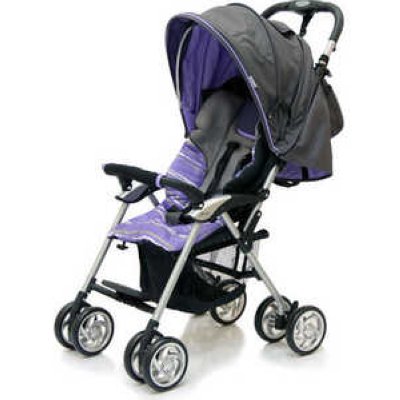   Jetem Elegant, (Dark Grey / Purple, )