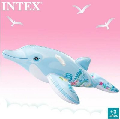   Intex  (58535NP, 17566 )