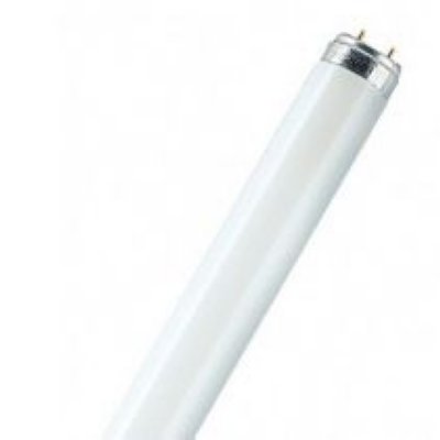 Osram L36W/765  