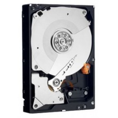   3.5" 250 Gb 7200rpm 64Mb cache Western Digital RE4 SATAII WD2503ABYX