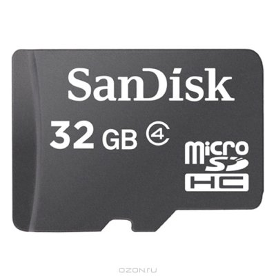   SanDisk (microSDHC-32Gb Class4) microSecureDigital High Capacity Memory Card