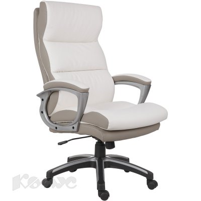  EChair-616 TR (  , )