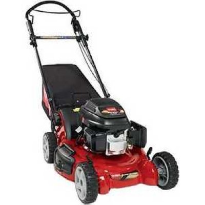   Toro 20192