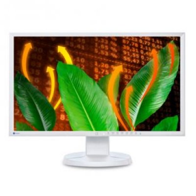   EIZO FlexScan EV2316W 23" TN gray VGA DVI DisplayPort USB