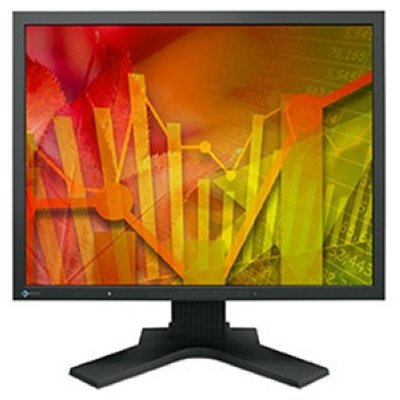   EIZO FlexScan S2133 21" IPS black VGA DVI DisplayPort