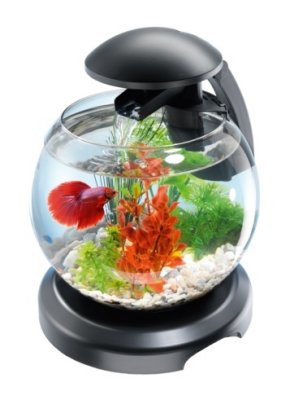   Tetra Caskade Globe 6.8l