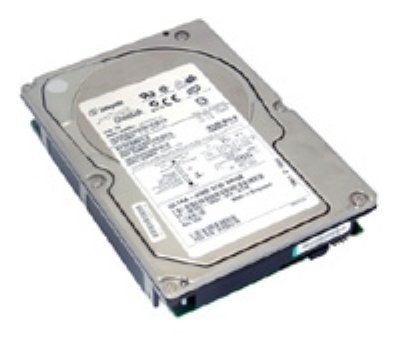   Dell 1TB Near Line SAS 6Gbps 7.2k 2.5" HD Hot Plug Fully Assembled