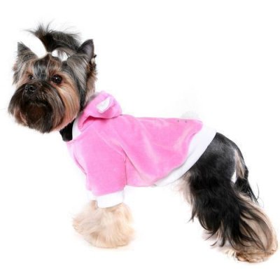  DOGMODA  ""  ), 1