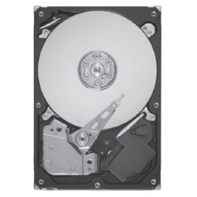   HDD 450GB SAS Seagate Savvio 10K.5 (2.5", ST9450405SS, 10000rpm, 64Mb)