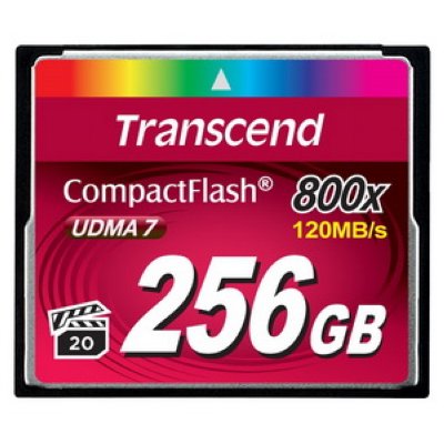   256Gb - Transcend 800x Ultra Speed - Compact Flash TS256GCF800