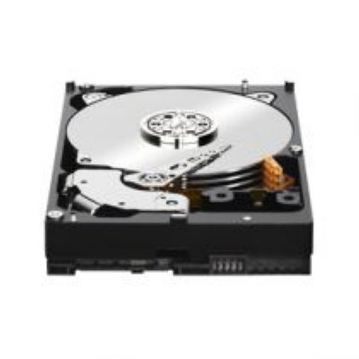 WD WD2001FYYG   SAS 2TB 3.5" RAID Edition 7200rpm 32MB 170/170Mb