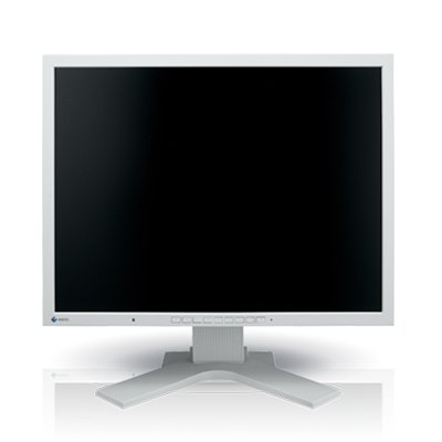   EIZO FlexScan S2133 21" IPS black VGA DVI DisplayPort 