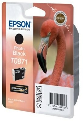 T087140   Epson (R1900) . .