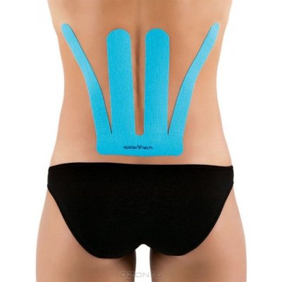   SpiderTech "Lower Back Spider", : , 6 