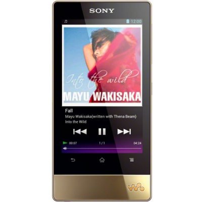  MP3/MP4- SONY Walkman NWZ-F804  8Gb