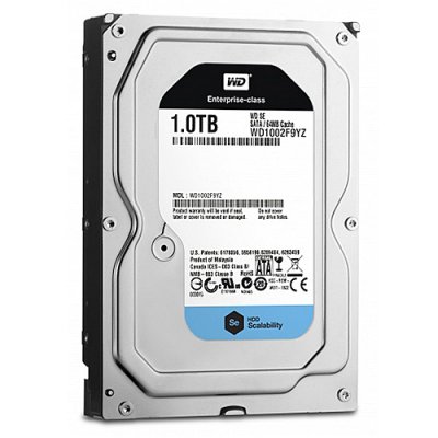   1Tb Western Digital WD1002F9YZ SATA III SE [7200rpm, 128Mb, for NAS]