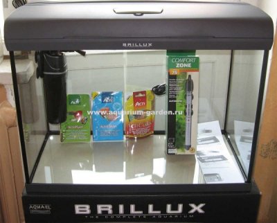 72   72 .BRILUX 60 ( ,,,)