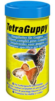 100  TetraGuppyFlocken 100   / 