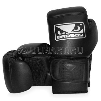  Bad Boy Pro Series Bag Mitt (, XL)