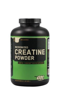 Optimum Nutrition Creatine Powder (600 )