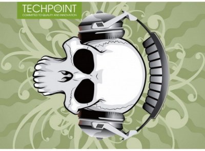  TECHPOINT    Skull life