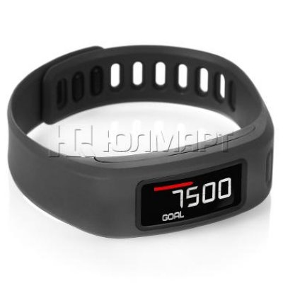   Garmin Vivofit Slate