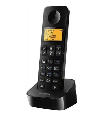  DECT Philips D2101B/51