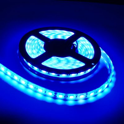   Neon-Night SMD 3528 60led/m 12V 24W 5m IP65 Blue 141-353-0