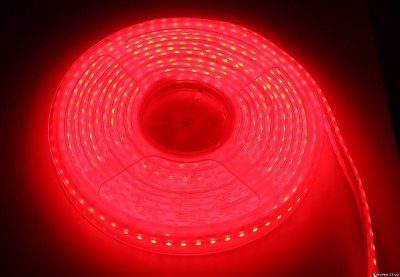   Neon-Night SMD 3528 60led/m 12V 24W 5m IP65 Red 141-351-0