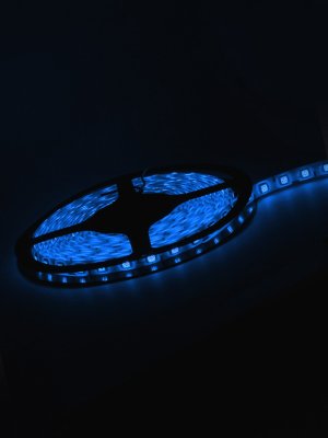   Neon-Night SMD 5050 60led/m 12V 72W 5m IP65 Blue 141-493-0