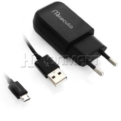    Molecula, 1 A, 1 USB-, + - Micro-USB, , [TC11M-01]