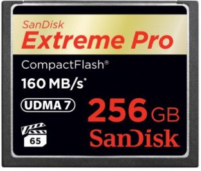   SanDisk SDCFXPS-256G-X46