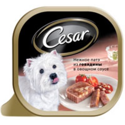 100  CESAR 100          10070130/6588   