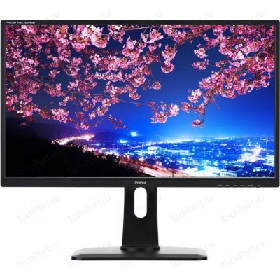 24"   IIYAMA ProLite B2483HS-B1 (Black)    (LCD, Wide, 1920x1080, D-Sub, D