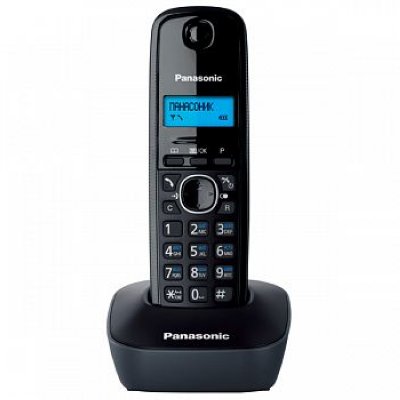  Panasonic KX-TG1611RUH