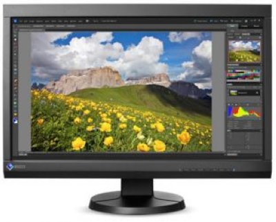  23 Eizo ColorEdge CS230E