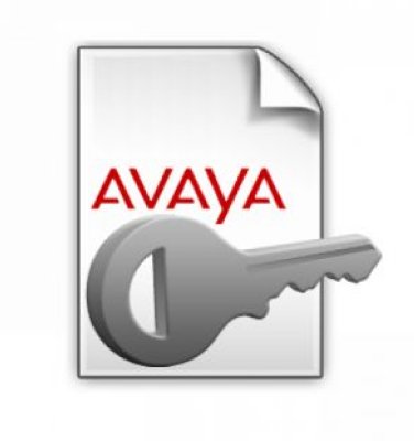  Avaya 174957