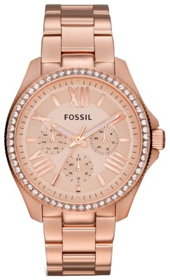   FOSSIL AM4483, 