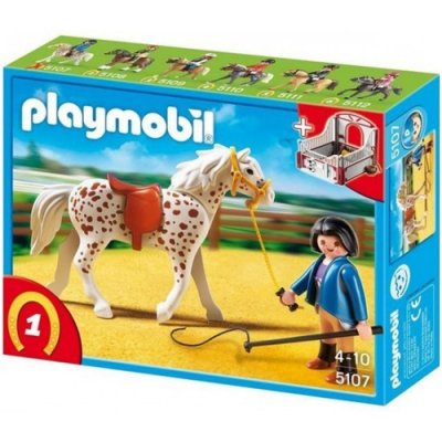  Playmobil  :     5107