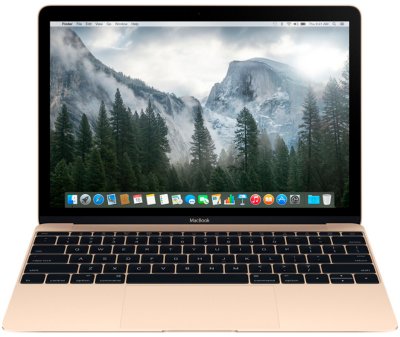  Apple MacBook 12" Retina dual-core M 1.2GHz/8GB/512GB flash/HD Graphics 5300/Mac OS/Gold MK4