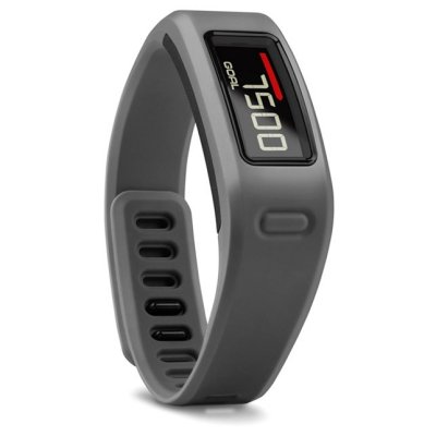   GARMIN Vivofit Slate